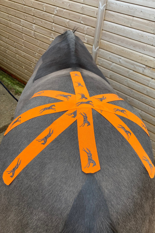 How K tape can help relieve Sacroiliac Joint (SI) Pain in Horses.