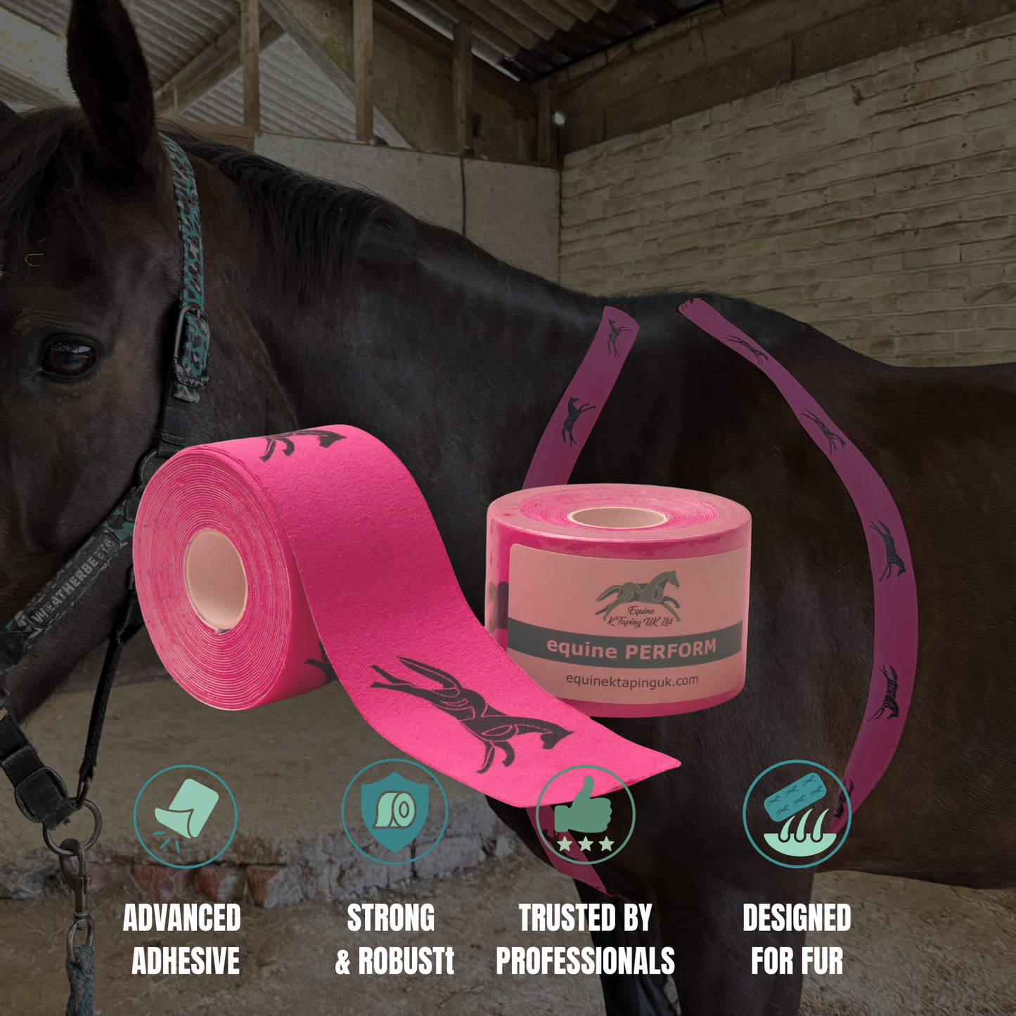 equine PERFORM