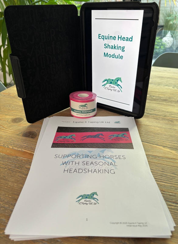 Supporting Horses with Headshaking Module